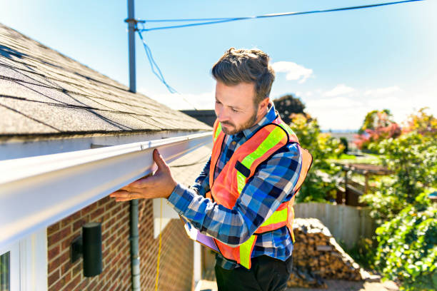 Best Roof Maintenance and Cleaning  in Cairo, IL